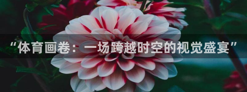 k1体育娱乐：“体育画卷：一场跨越时空的视觉盛宴”
