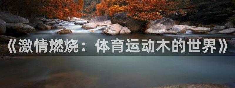 k1体育十年品牌：《激情燃烧：体育运动木的世界》
